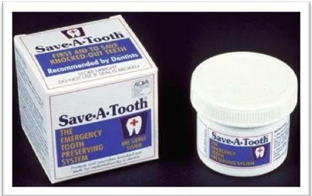 Gambar 3. Media Penyimpanan Save A Tooth5