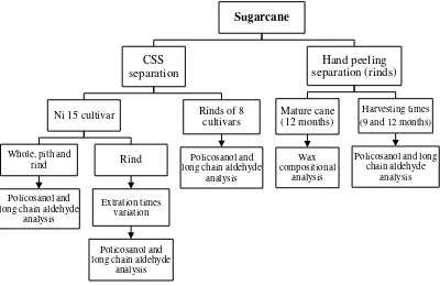 Figure 4 Experimental designs of sugarcane wax, policosanol and long chain aldehyde analysis
