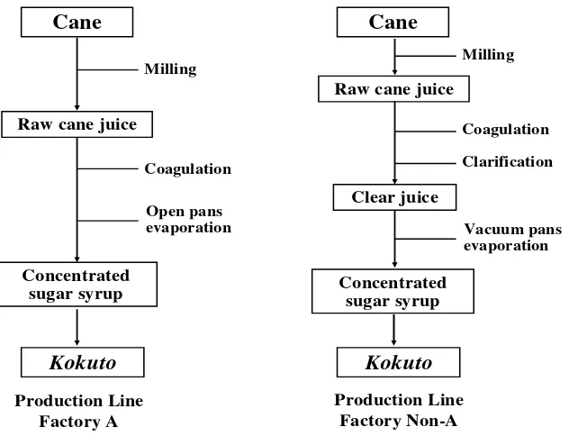 Figure 5 Production lines of Kokuto. 