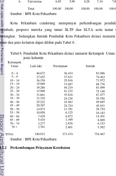 Tabel 6  Penduduk Kota Pekanbaru dirinci menurut Kelompok  Umur dan  