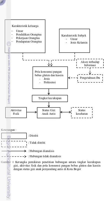 Gambar 1 Kerangka pemikiran penelitian hubungan antara tingkat kecukupan gizi, aktivitas fisik dan pola konsumsi pangan bebas gluten dan kasein dengan status gizi anak penyandang autis di Kota Bogor 