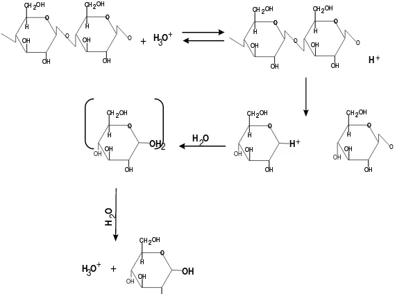 Gambar 7. Mekanisme reaksi hidrolisis asam (Humprey di dalam Kearsly dan  Diedzic, 1979) 