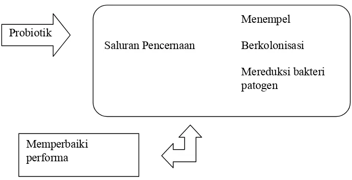 Gambar�1.�Mekanisme�Kerja�Probiotik��