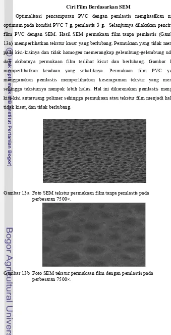 Gambar 13a  Foto SEM tekstur permukaan film tanpa pemlastis pada  