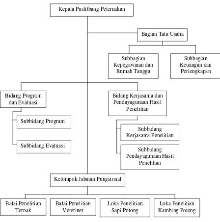 Gambar 5. Struktur Organisasi Puslitbang Peternakan 