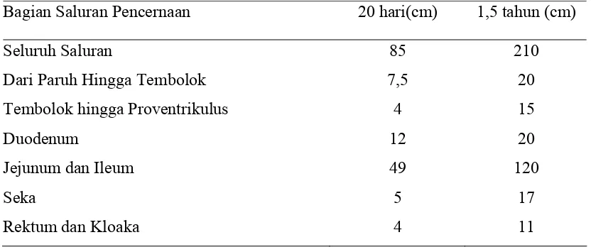 Tabel 4.  Ukuran Panjang Saluran Pencernaan Ayam pada Umur 20 Hari dan 1,5 Tahun 