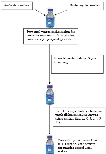 Gambar 4. Gambaran Umum Pembuatan Produk Susu Fermentasi dan Analisis Sampel 