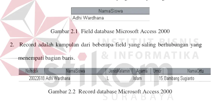 Gambar 2.1  Field database Microsoft Access 2000 
