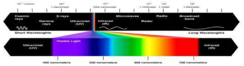 Gambar 1. Gelombang Elektromagnetik 