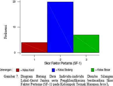 Gambar 7. Diagram Batang Data Individu-individu Domba Silangan      