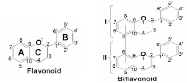 Gambar 4. Struktur dasar flavonoid dan biflavonoid.