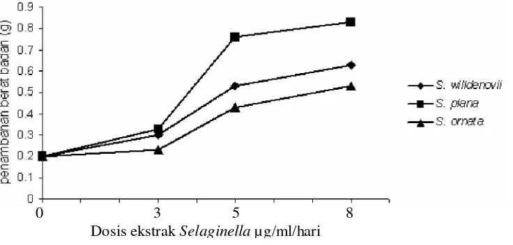 Gambar 6.  Grafik hubungan antara pertambahan berat badan mencit  dan dosis ekstrak dari tiga jenis Selaginella.