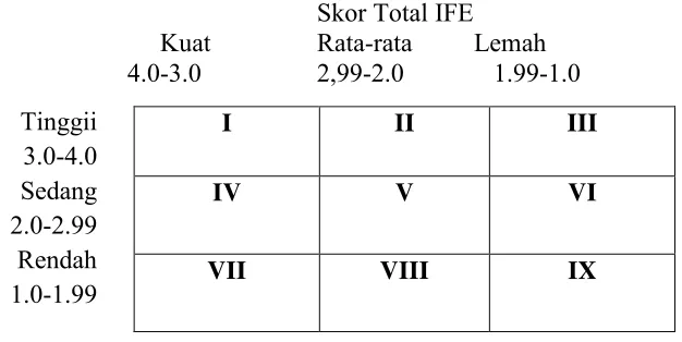 Gambar Model Matriks IE IV 