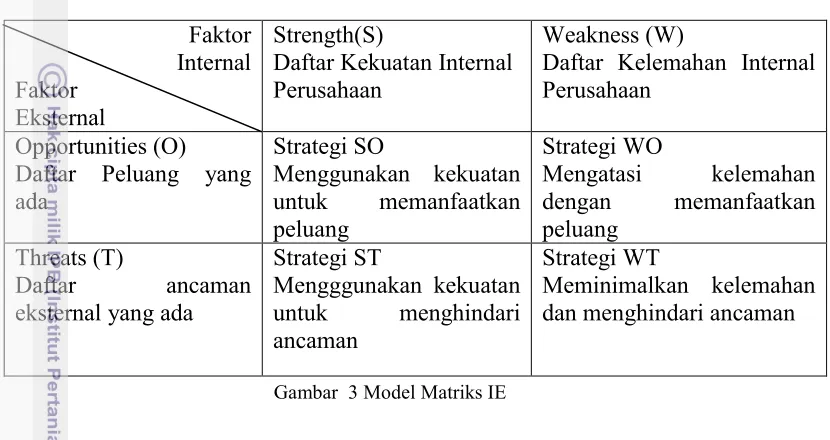 Gambar  3 Model Matriks IE 