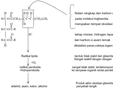Gambar 2.5. Reaksi ketengikan oksidatif pada lipida (Sherwin 1990) 