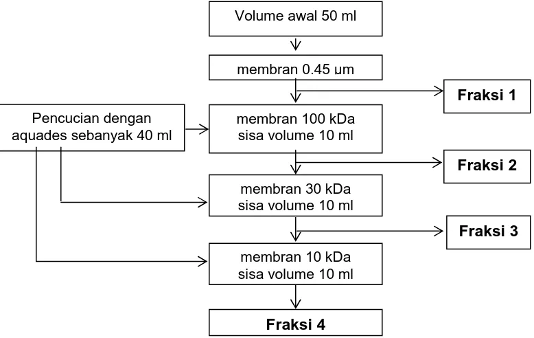 Gambar 3.3. Skema Proses Fraksinasi dengan Ultrafiltrasi 