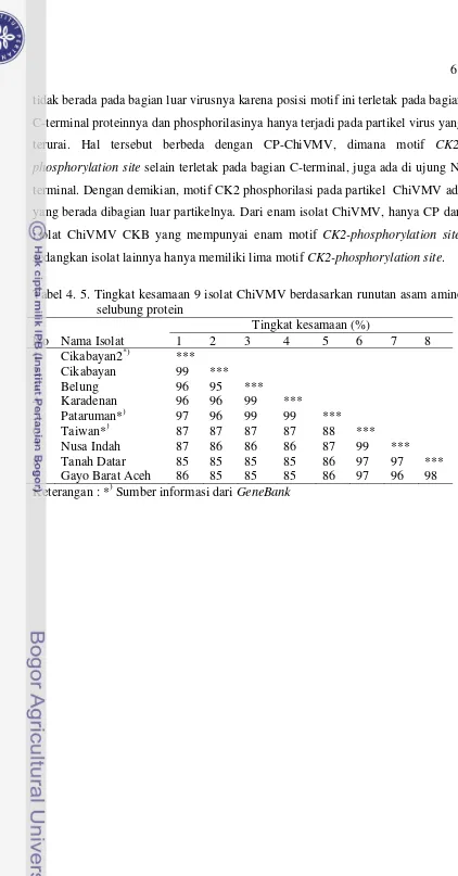 Tabel 4. 5. Tingkat kesamaan 9 isolat ChiVMV berdasarkan runutan asam amino 