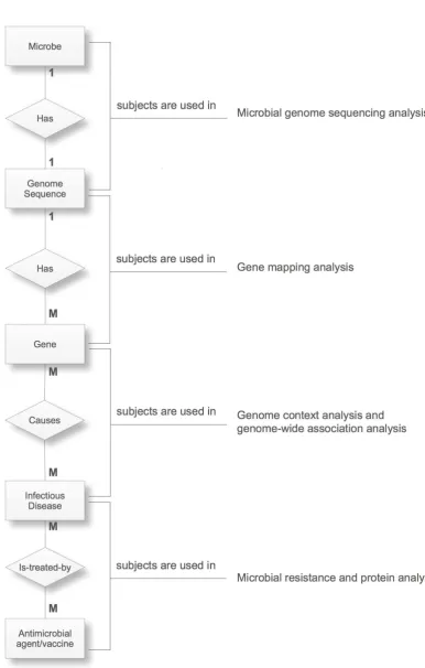 Figure 3.2: The Relationship Between the Various Subjects of the MicrobialStudy and the Analyses in the Microbial Study Pathway