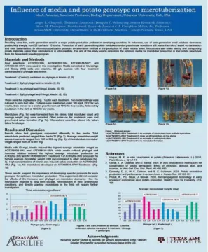 Gambar 3. Contoh miniatur poster
