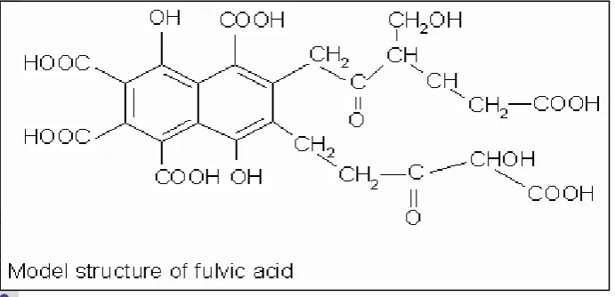 Gambar 14 Struktur kimia asam fulvat (Stevenson 1994) 