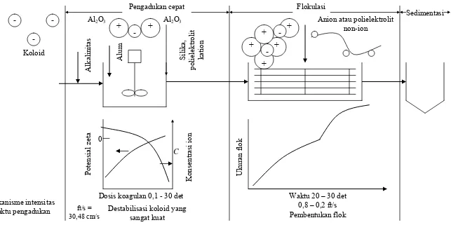 Gambar 2. Mekanisme koagulasi (Eckenfelder 2000)  