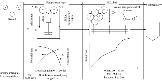 Gambar 2. Mekanisme koagulasi (Eckenfelder 2000)  