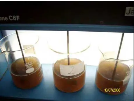Gambar 3. Jar test 