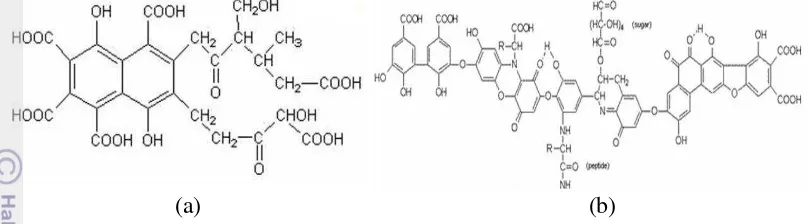 Gambar 2  Struktur kimia (a) asam fulvat (b) dan asam humat (Kanonova 2000) 