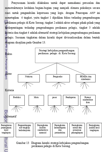 Gambar 13   Diagram hirarki strategi kebijakan pengembangan 