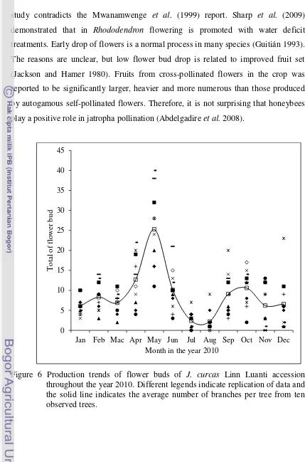 Figure 6 Production trends of flower buds of J. curcas Linn Luanti accession 