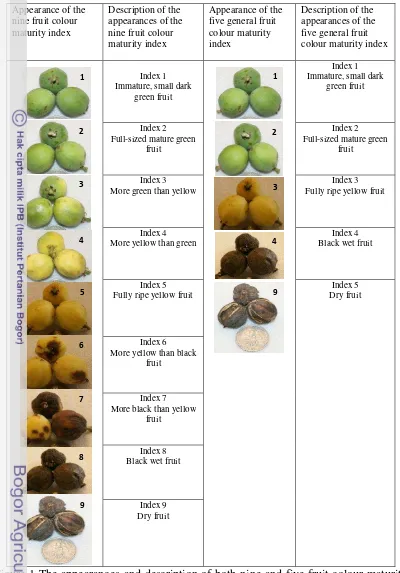 Figure 1 The appearances and description of both nine and five fruit colour maturity 