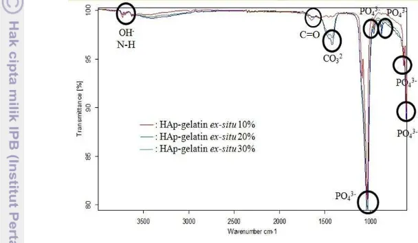 Gambar 10  Spektrum FTIR HAp dari cangkang tutut + gelatin  ex-situ 