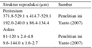 Tabel 4  Ukuran struktur reproduksi seksual Cordyceps militaris 