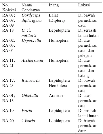 Tabel 1  Cendawan entomopatogen yang diperoleh dari CA Telaga Warna beserta inangnya. 
