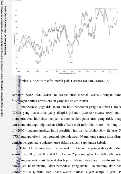 Tabel 11 menunjukkan bahwa waktu inkubasi berpengaruh nyata terhadap 