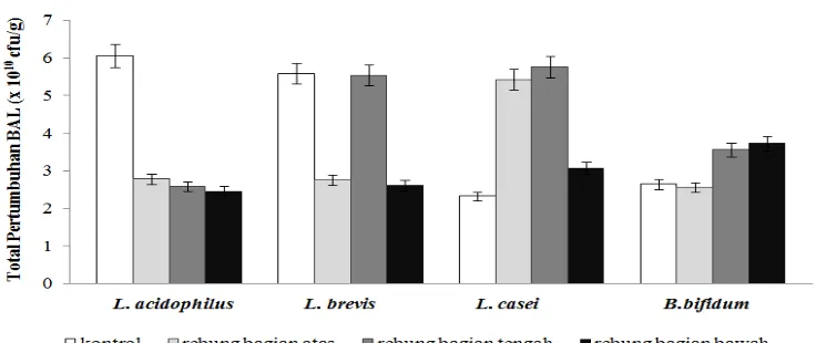 Figure 4. The growth of lactic acid bacteria on YP-r media, tabah supplemented media. The flour was processed from different parts of bamboo shoot, tip bamboo shoot flour-part, middle part, and bottom part