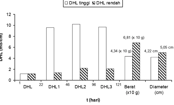 Gambar  9  Pengaruh nilai DHL larutan nutrisi terhadap berat dan diameter 