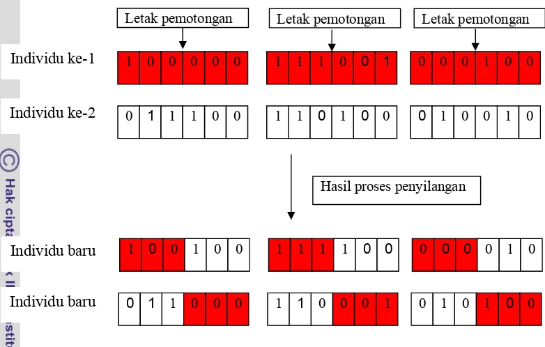 Gambar 13 Ilustrasi proses penyilangan pada Algoritma Genetika. 