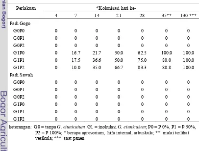 Tabel 2  Jumlah spora  G.etunicatum  pada padi  gogo berumur 130 HST yang menda-G. etunicatum  pat perlakuan  dan P 