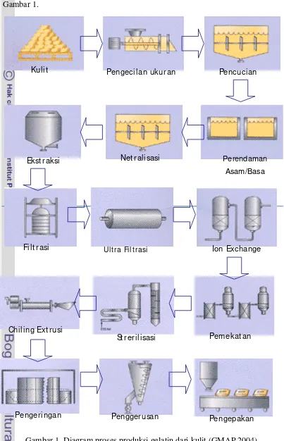 Gambar 1  Diagram proses produksi gelatin dari kulit (GMAP 2004). 