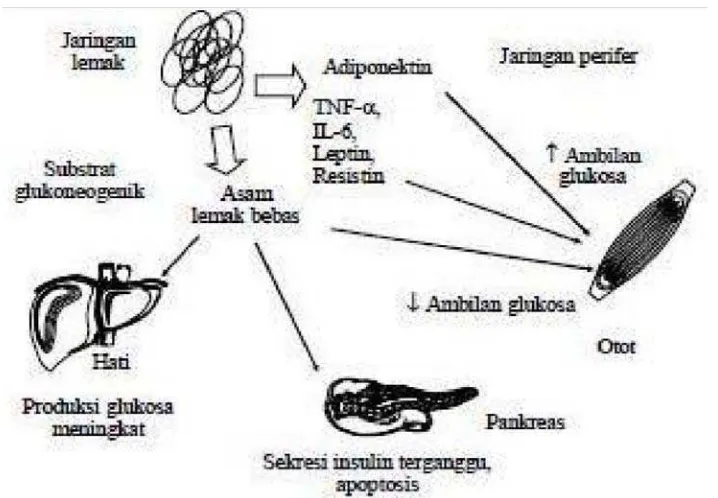 Gambar 2.3. Mekanisme resistensi insulin 