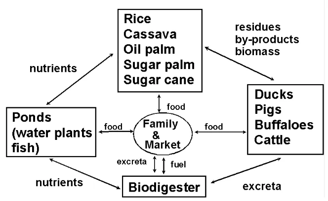 Gambar 1  Diagram Alur Integrated Farming System 