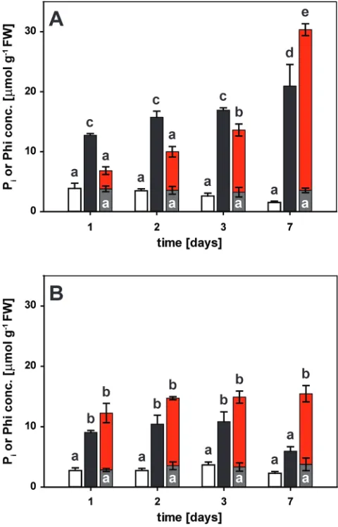 Fig. 4. Kinetics of phosphate (Pbeing transferred to plates for the different treatments as indicated