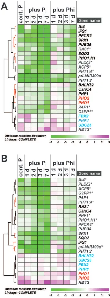 Fig. 6. Effect of phosphate (Pi) and phosphite (Phi) on transcript abundance in P-limited seedlings