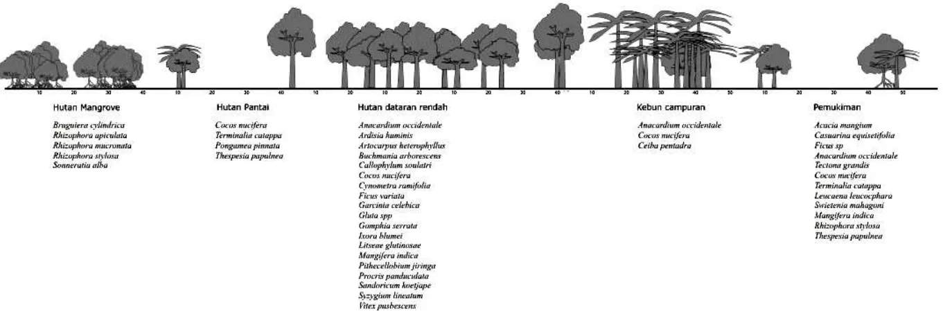 Gambar  4  Profil vegetasi pohon di Pulau Karimunjawa 