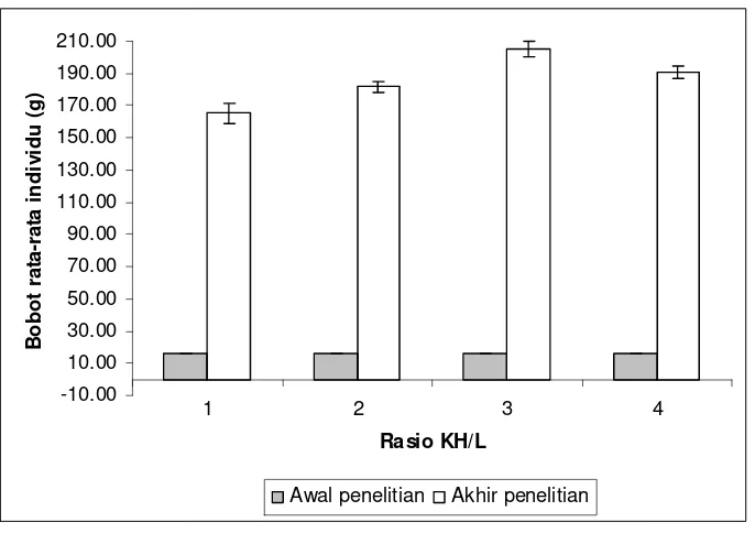 Gambar 1. Bobot rata-rata individu pada awal dan akhir penelitian. 