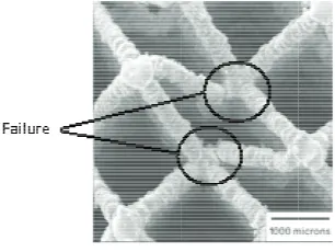 Fig. 2. SEM imagee of 200W X 10000