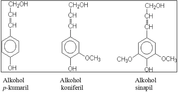 Gambar 5  Tiga monomer utama penyusun lignin (Crawford 1981) 