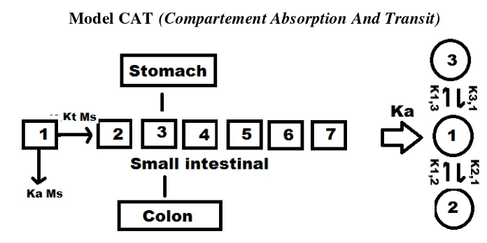 Gambar 1. Skema model CAT dengan model terbuka tiga kompartemen3 
