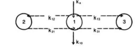Gambar 3.Skema model tiga kompartemen terbuka1. 